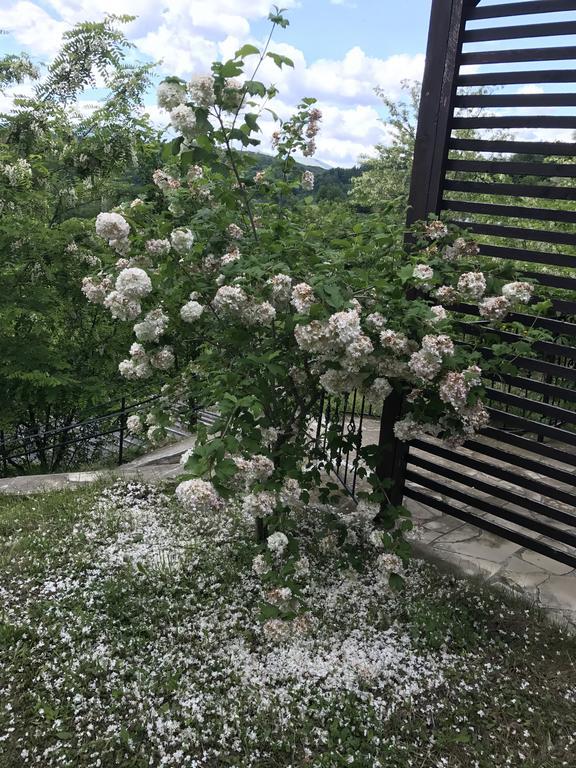 Cabana Breaza - Skyview Cottage 외부 사진