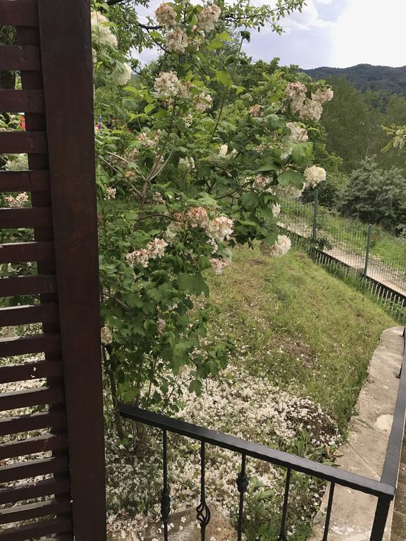 Cabana Breaza - Skyview Cottage 외부 사진